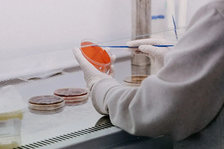 洁净室微生物监测培养基如何选择？